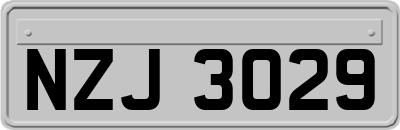 NZJ3029