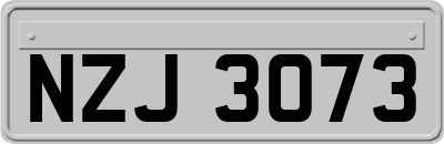 NZJ3073