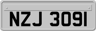 NZJ3091