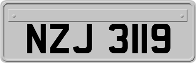 NZJ3119