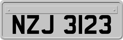NZJ3123