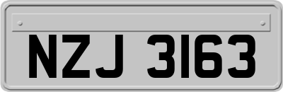 NZJ3163