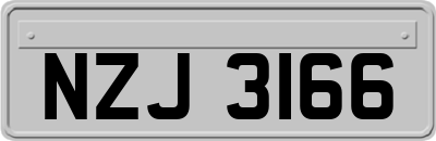 NZJ3166