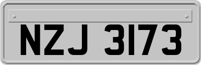 NZJ3173