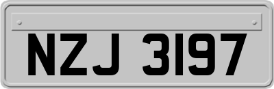 NZJ3197