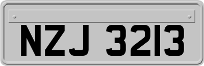 NZJ3213