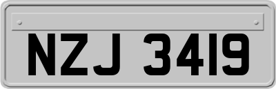 NZJ3419