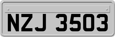 NZJ3503