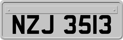 NZJ3513