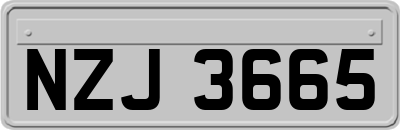 NZJ3665