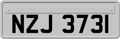 NZJ3731