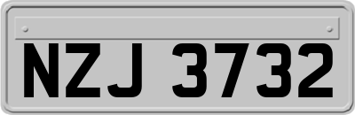 NZJ3732