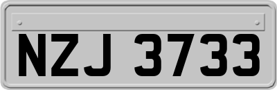 NZJ3733