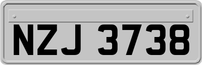 NZJ3738