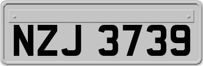 NZJ3739