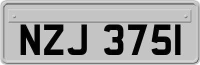NZJ3751
