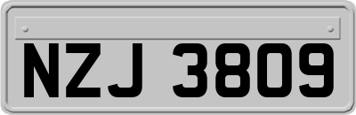 NZJ3809
