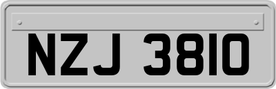NZJ3810