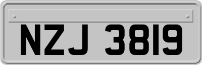 NZJ3819