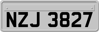 NZJ3827