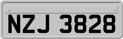 NZJ3828
