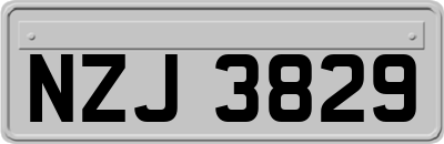 NZJ3829