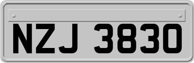 NZJ3830