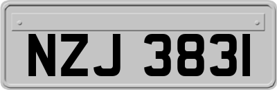 NZJ3831