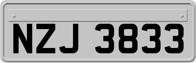 NZJ3833