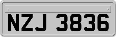 NZJ3836