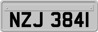 NZJ3841