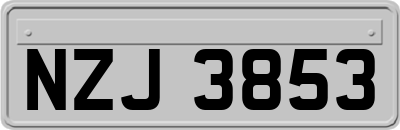 NZJ3853