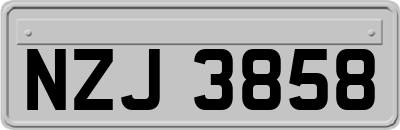NZJ3858