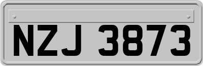 NZJ3873