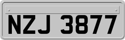 NZJ3877