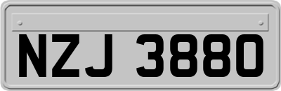 NZJ3880