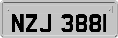 NZJ3881