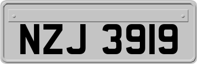 NZJ3919