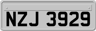 NZJ3929