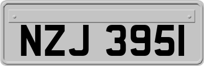 NZJ3951