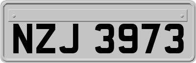 NZJ3973