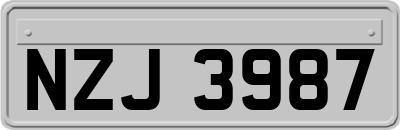 NZJ3987