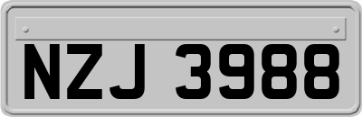 NZJ3988