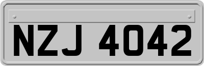 NZJ4042