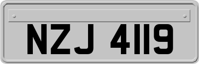 NZJ4119