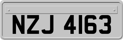 NZJ4163