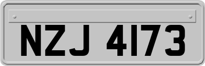 NZJ4173