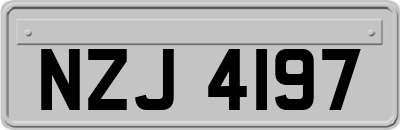 NZJ4197