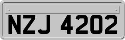 NZJ4202