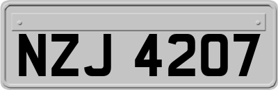 NZJ4207